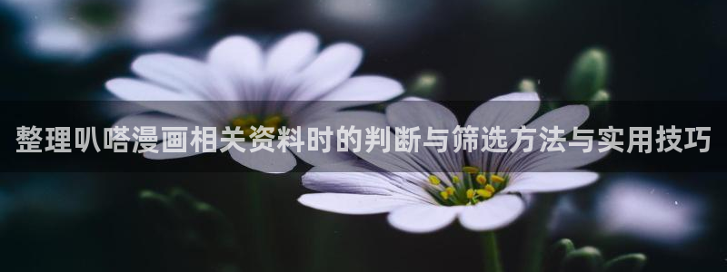 羞羞漫画漫画在线:整理叭嗒漫画相关资料时的判断与筛选方法与实用技巧
